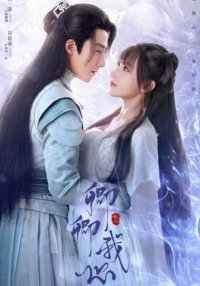 Цинцин в моём сердце